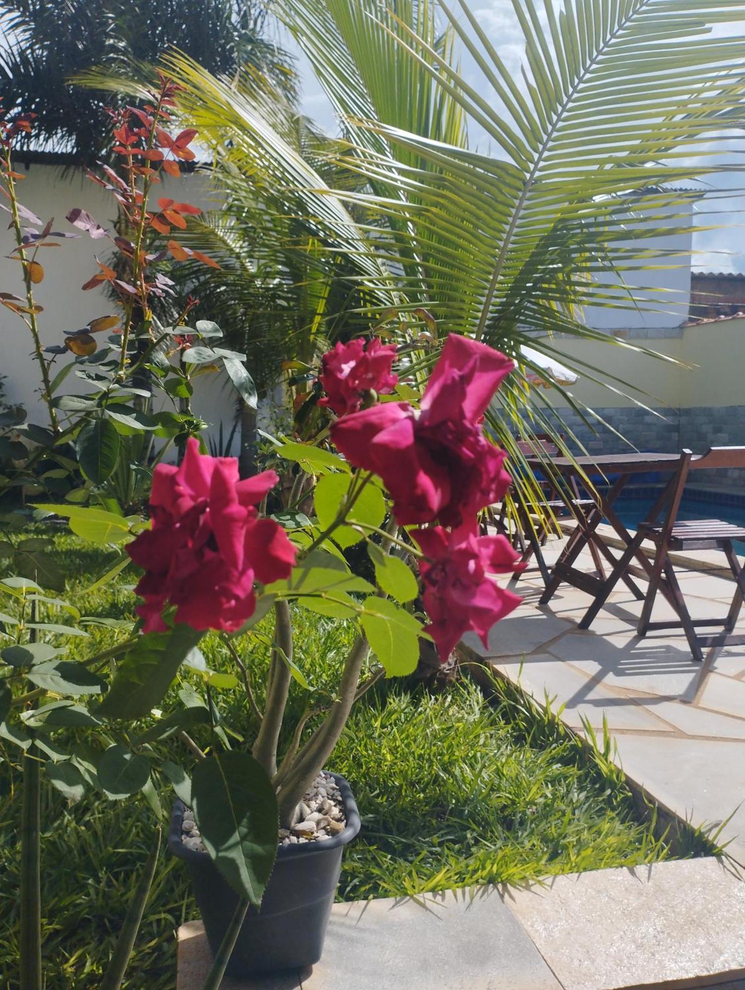 Casa Pirineus Holiday home